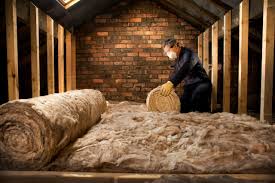 Reliable Franklin Grove, IL Insulation Removal & Installation Solutions